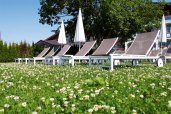 WellnessGarten