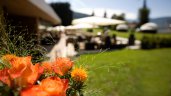 Sommerimpressionen