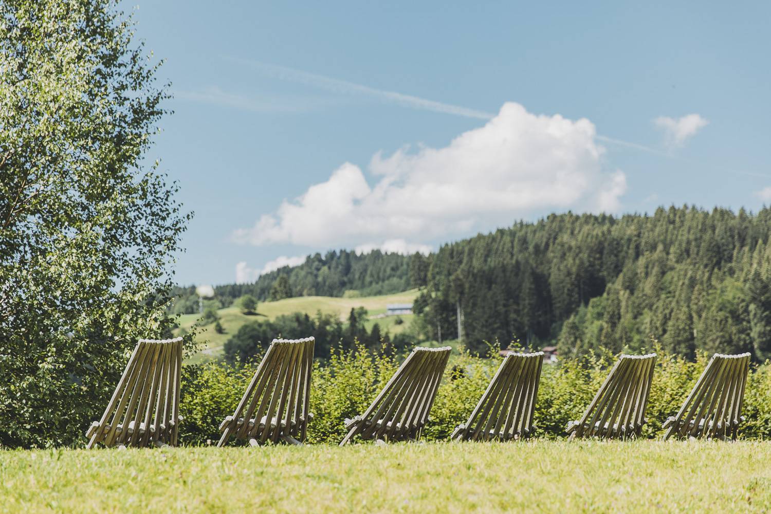 Wir setzen auf Sonne Symbolfoto