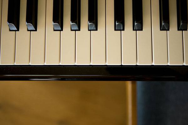 Die Rosenalp Spotify Playlists Symbolfoto