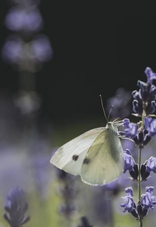 In der Ruhe liegt Kraft Symbolfoto