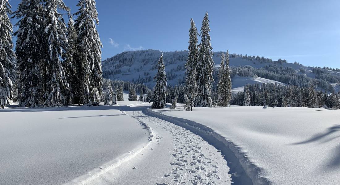 Verschneite Winterlandschaft mit blauem Himmel, welche Lust auf einen Winterurlaub in Bayern macht.