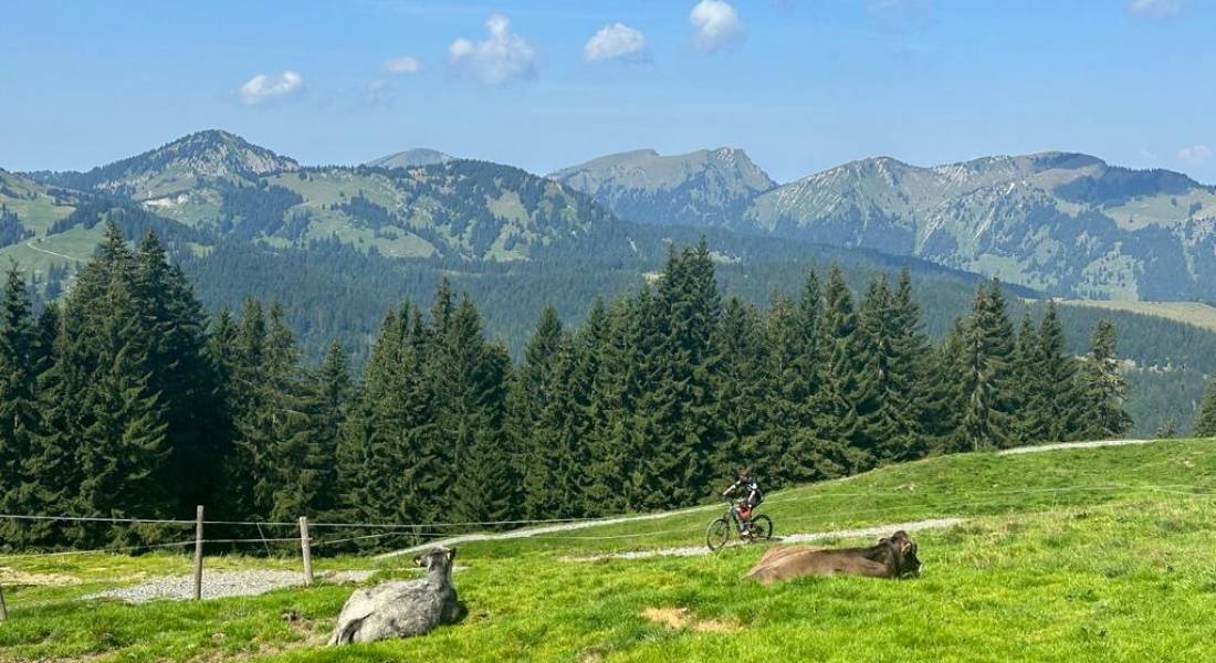 Ein Fahrradfahrer fährt auf einem Schotterweg vor einem Bergpanorama bei blauem Himmel.