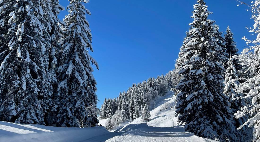 Enchanting winter hiking - Rosenalp Gesundheitsresort & SPA