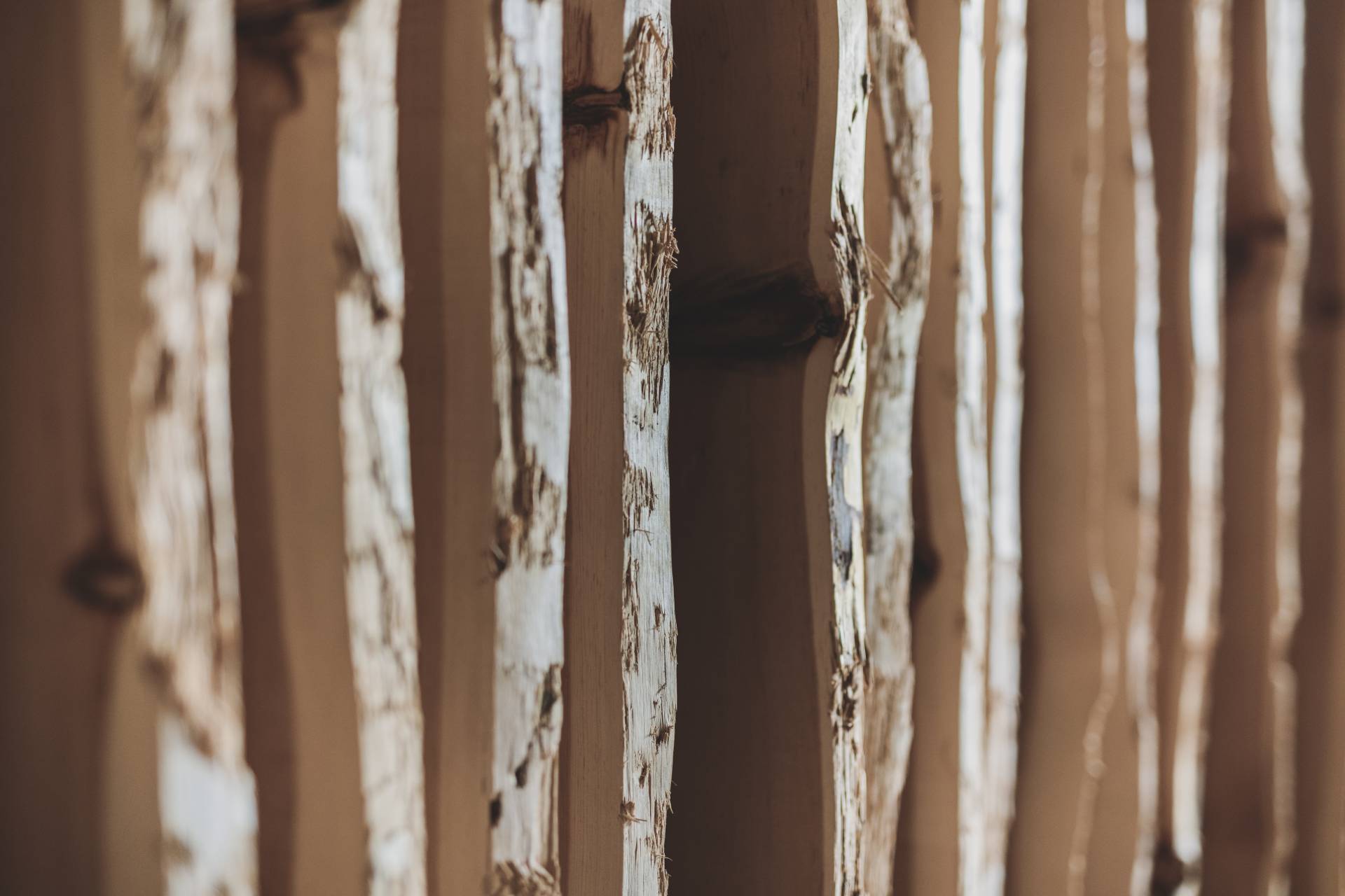 Holzwand in der Rosenalp