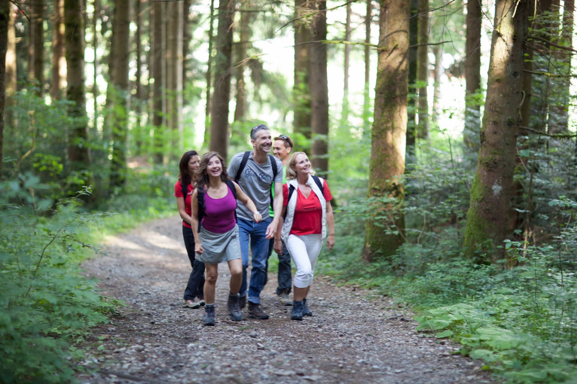 Slow down, recharge your batteries or work-out: - Rosenalp Gesundheitsresort & SPA
