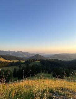 Eine kleine Gruppe wandert lächelnd durch einen Wald als Teil ihres Aktivurlaub im Allgäu.