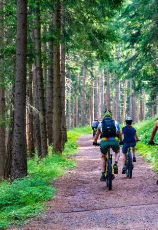 E-Biken – entspannend, sportlich und so gesund  Symbolfoto