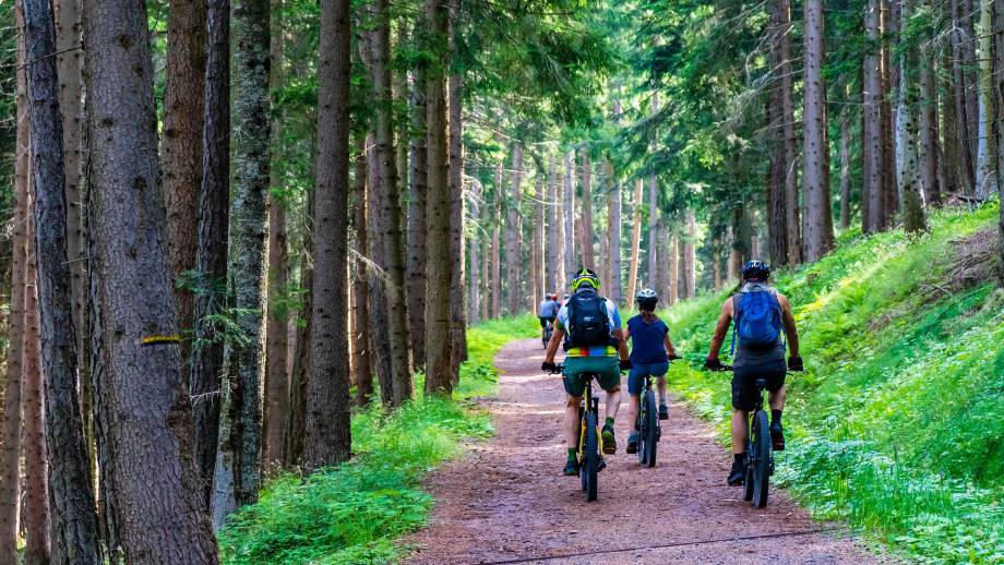 E-Biken – entspannend, sportlich und so gesund  Symbolfoto