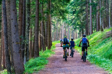 E-Biken – entspannend, sportlich und so gesund , Bild 1/1