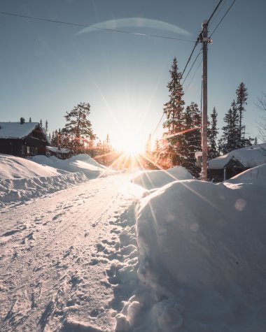 Vitamin D Mangel im Winter, Bild 1/1